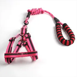 PAWS ASIA Lazada Hot Popular Nylon Safety Training Personalized Comfort Vest With Dog Leash Rope