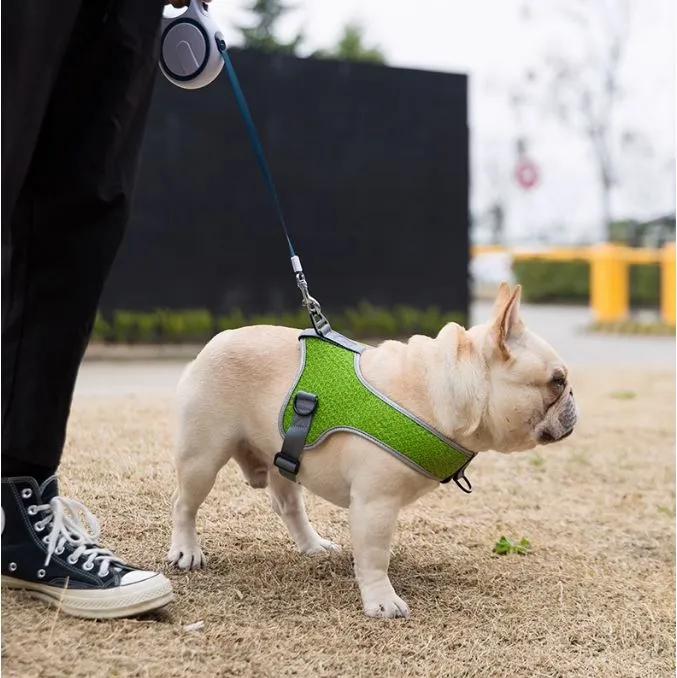 PawsMotion Premium French Bulldog Harness Vest with Leash Ultimate Walking Companion
