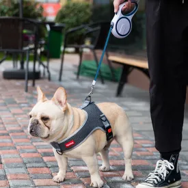 PawsMotion Premium French Bulldog Harness Vest with Leash Ultimate Walking Companion