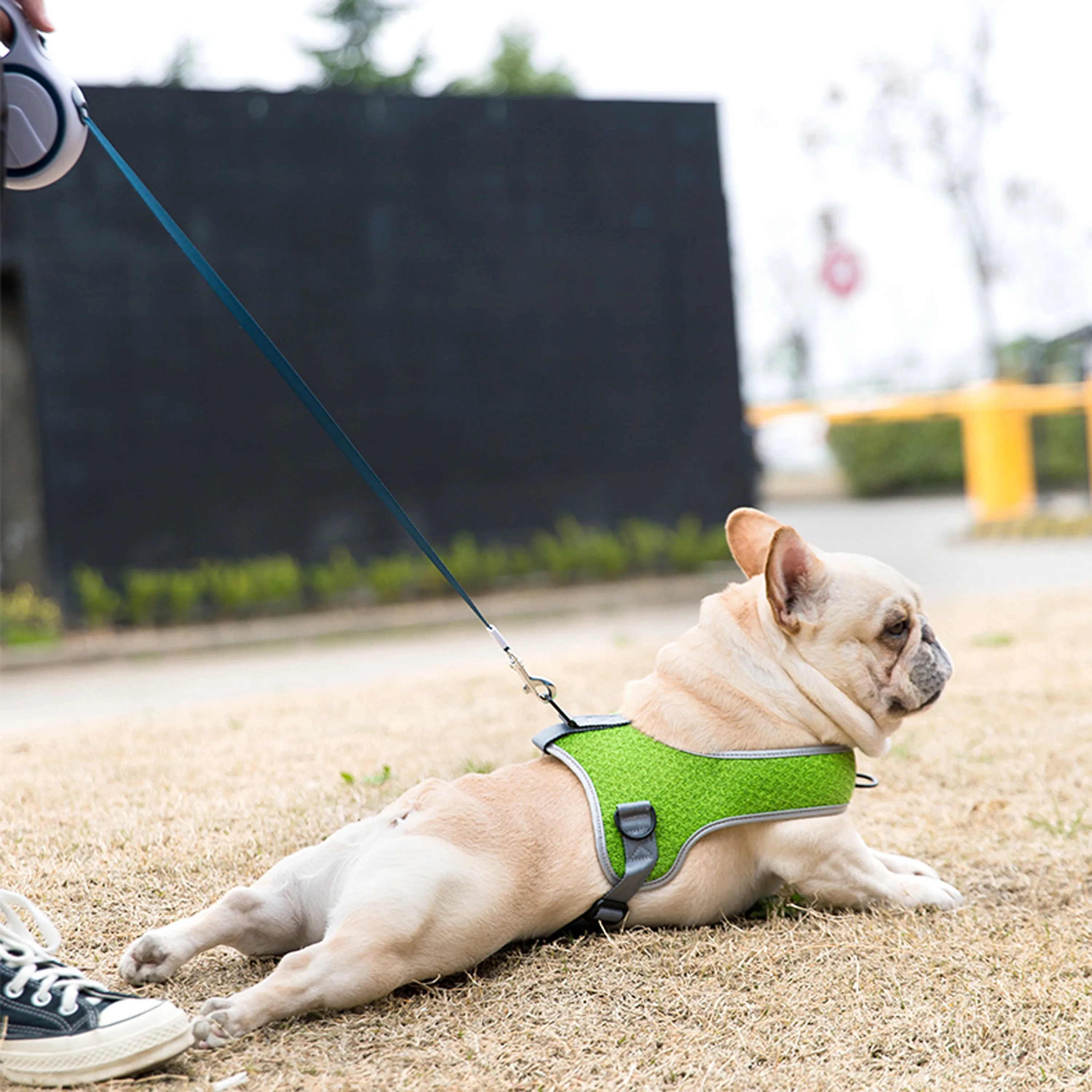PawsMotion Premium French Bulldog Harness Vest with Leash Ultimate Walking Companion