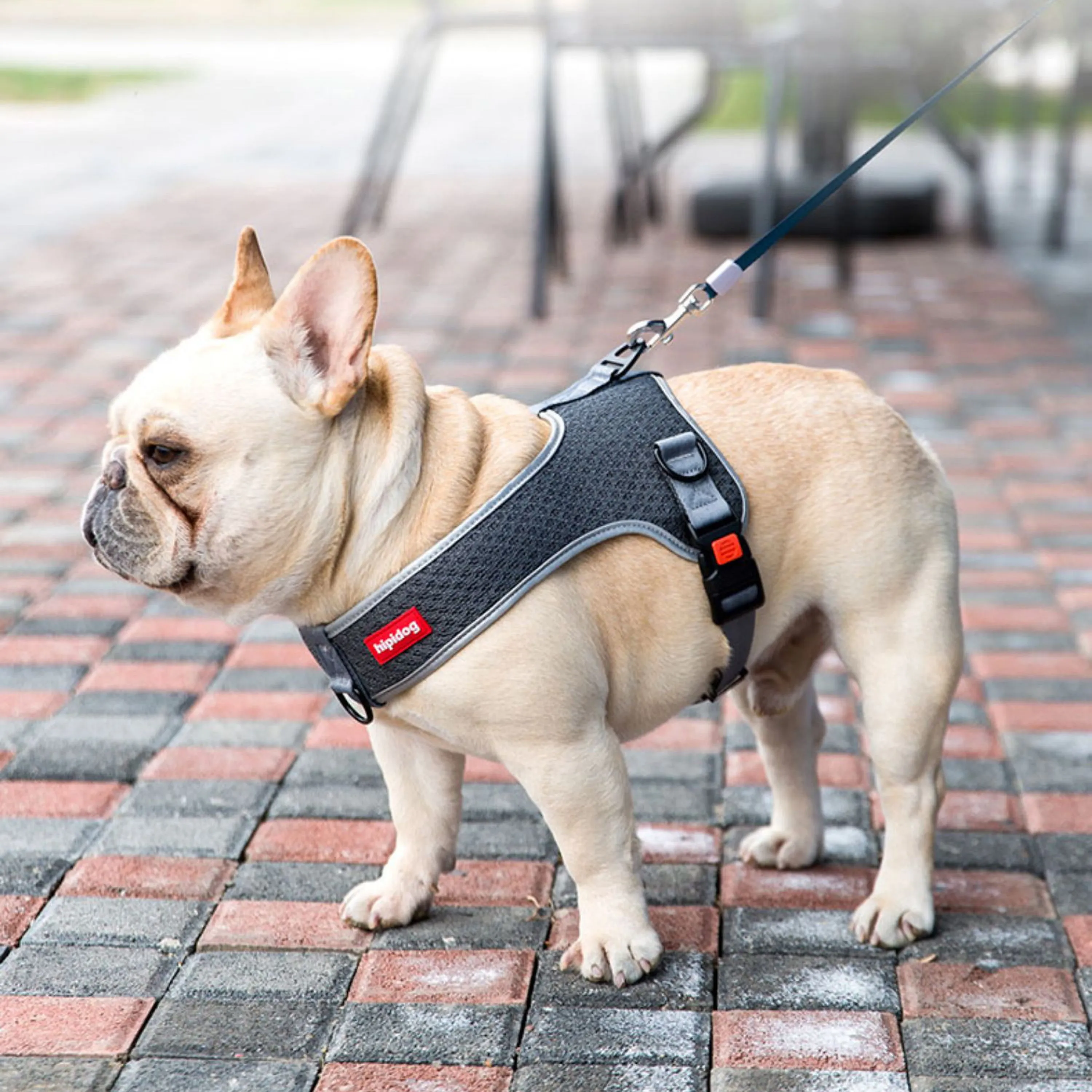 PawsMotion Premium French Bulldog Harness Vest with Leash Ultimate Walking Companion