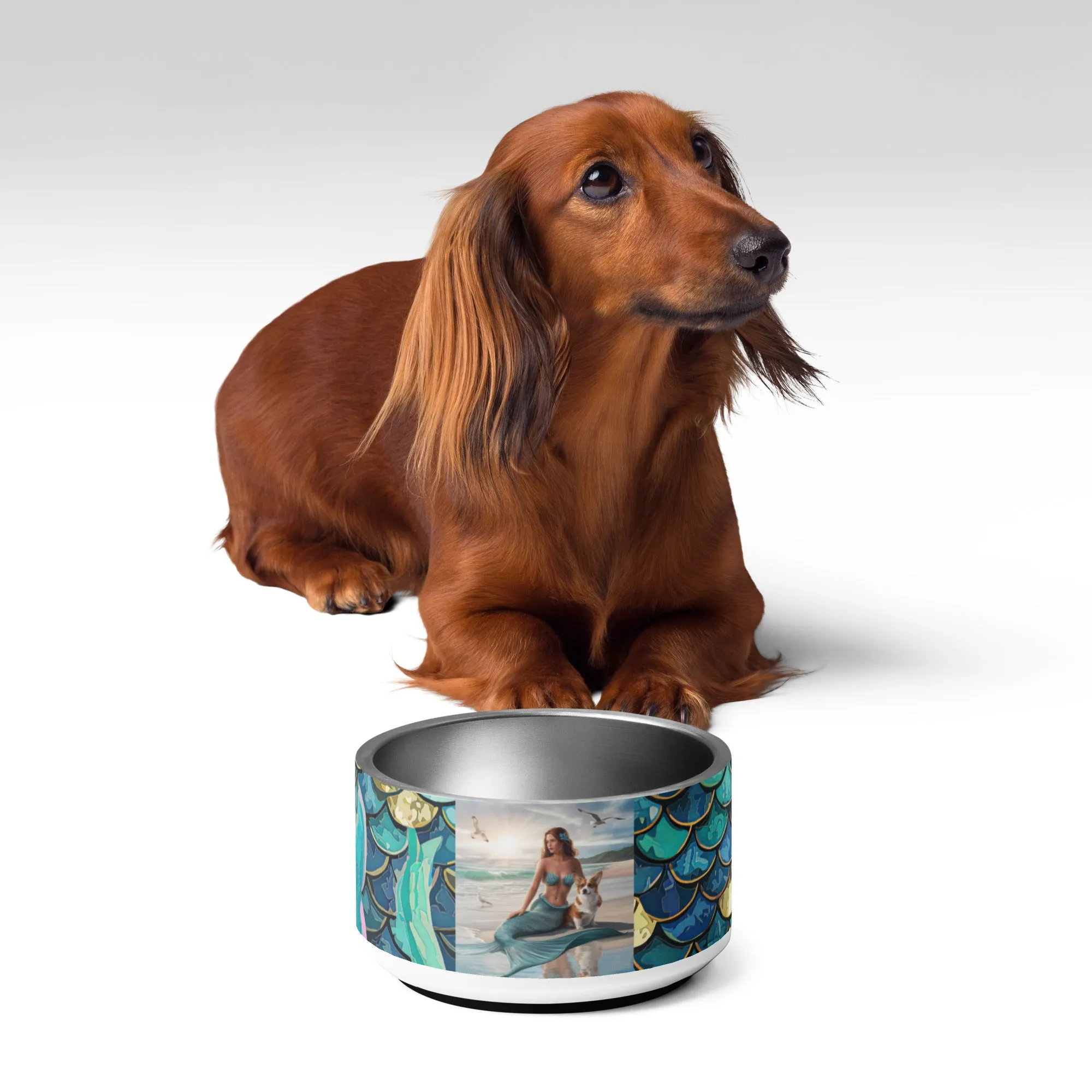 Pet bowl