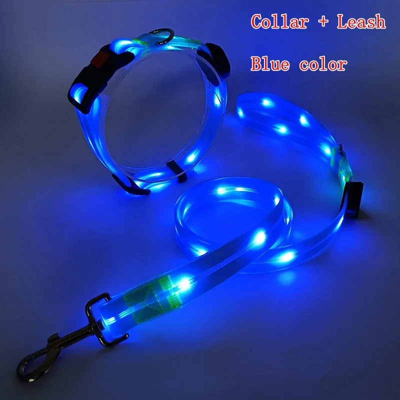 Pet Dog LED Light UP Collar Leash USB Rechargeable Collar Glowing for Pet Safe Night Walking