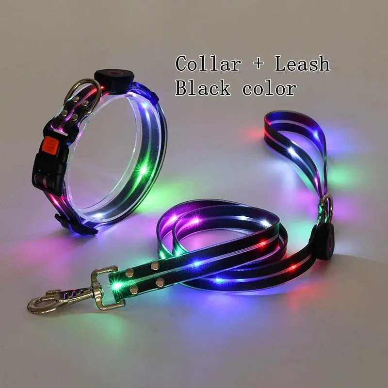 Pet Dog LED Light UP Collar Leash USB Rechargeable Collar Glowing for Pet Safe Night Walking