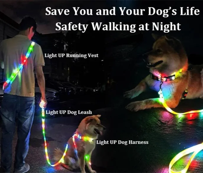Pet Dog LED Light UP Collar Leash USB Rechargeable Collar Glowing for Pet Safe Night Walking