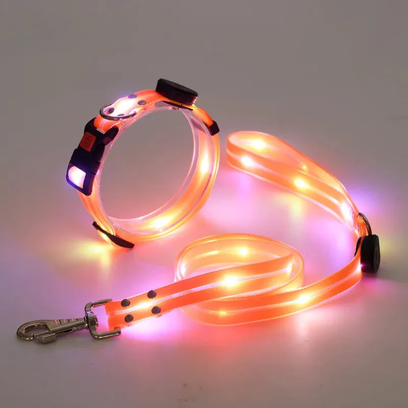 Pet Dog LED Light UP Collar Leash USB Rechargeable Collar Glowing for Pet Safe Night Walking