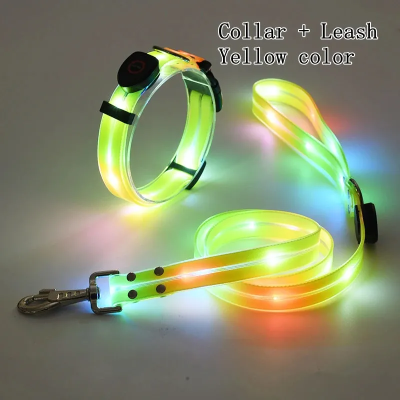 Pet Dog LED Light UP Collar Leash USB Rechargeable Collar Glowing for Pet Safe Night Walking