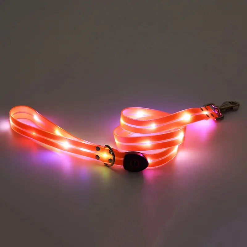 Pet Dog LED Light UP Collar Leash USB Rechargeable Collar Glowing for Pet Safe Night Walking