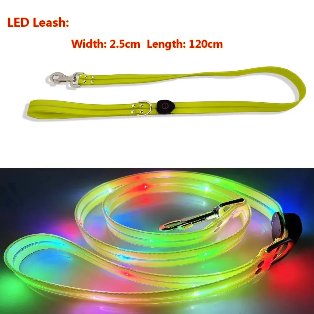 Pet Dog LED Light UP Collar Leash USB Rechargeable Collar Glowing for Pet Safe Night Walking