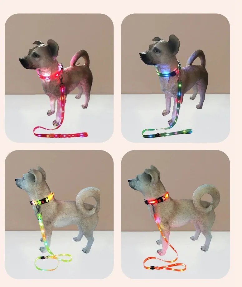 Pet Dog LED Light UP Collar Leash USB Rechargeable Collar Glowing for Pet Safe Night Walking