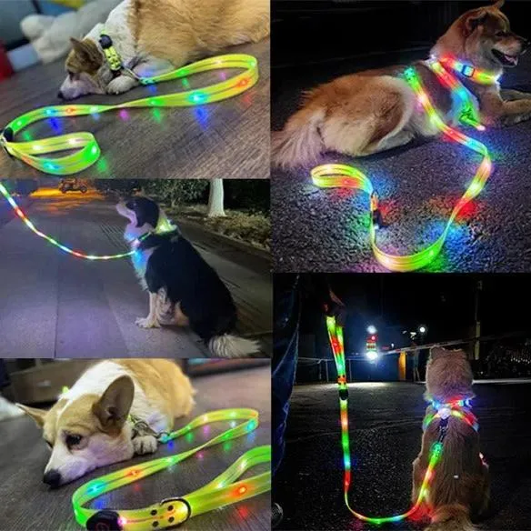 Pet Dog LED Light UP Collar Leash USB Rechargeable Collar Glowing for Pet Safe Night Walking