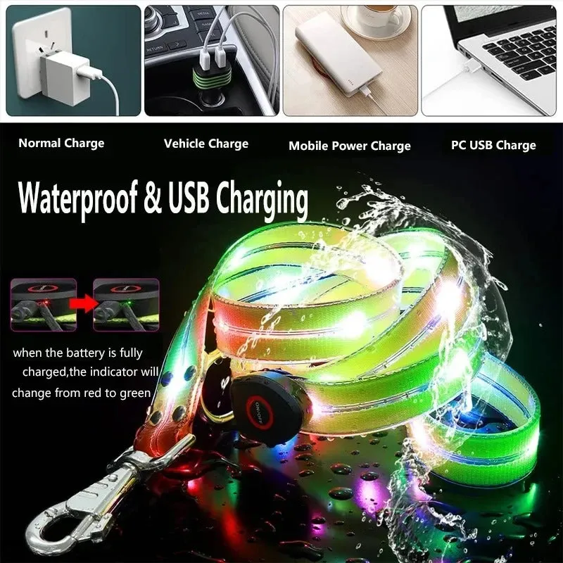 Pet Dog LED Light UP Collar Leash USB Rechargeable Collar Glowing for Pet Safe Night Walking