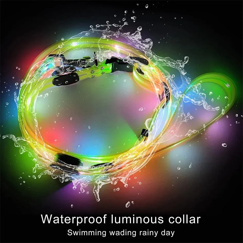 Pet Dog LED Light UP Collar Leash USB Rechargeable Collar Glowing for Pet Safe Night Walking