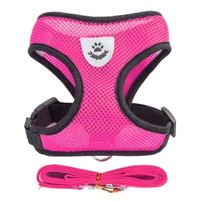 Pet Harness