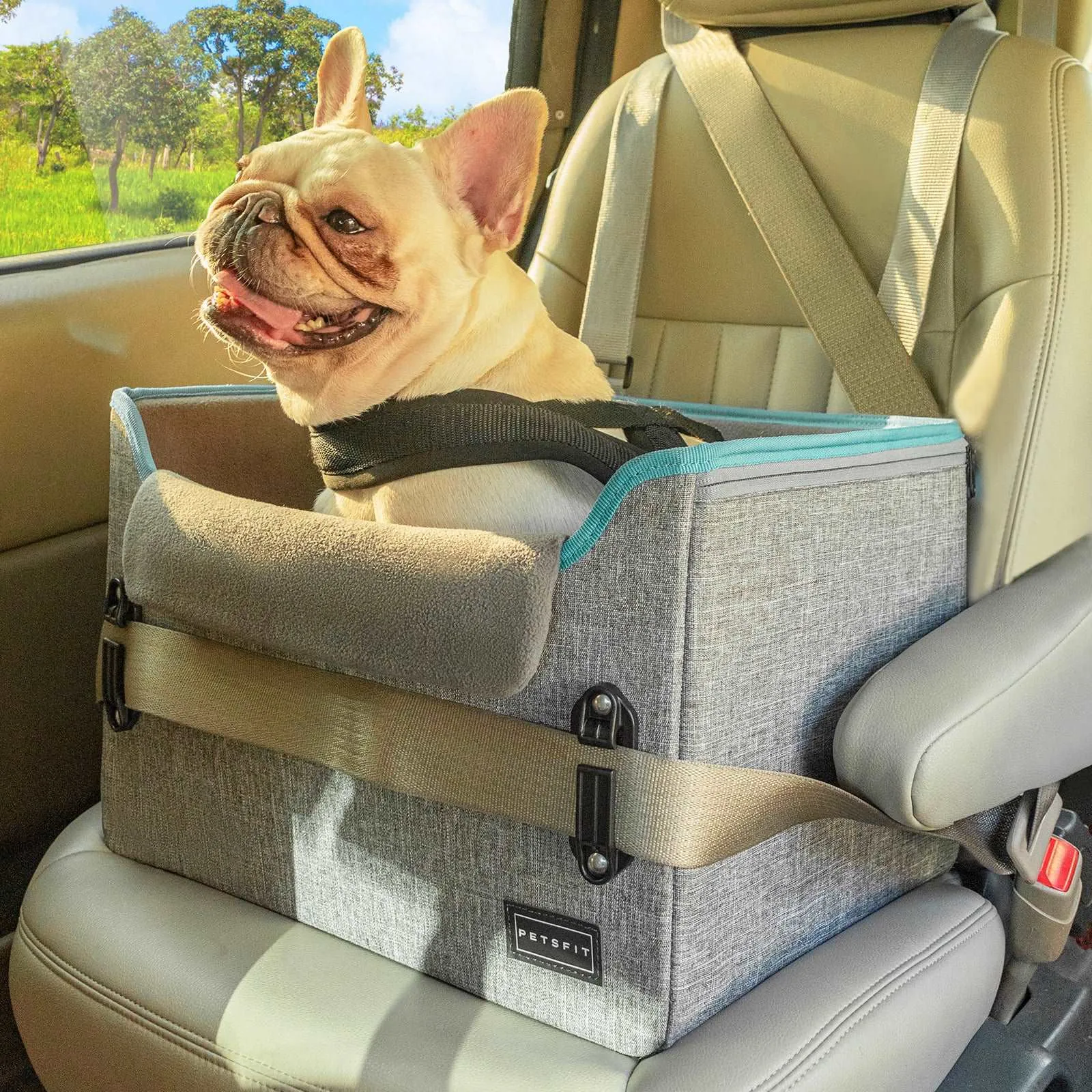 PETSFIT Dog Car Seats for Small Dogs Puppy Stable Pet Car Seat