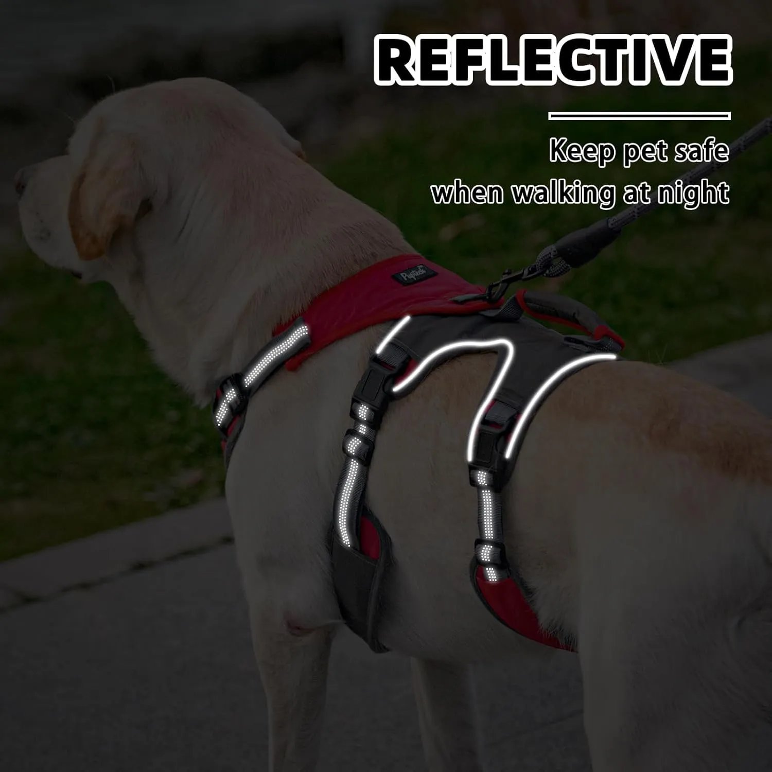 PUPTECK Escape Proof Dog Harness and Leash Set Upgraded No Pull Reflective Dog Vest with Lift Handle, Easy Control Pet Harness for Medium Large Dogs Training Walking Running