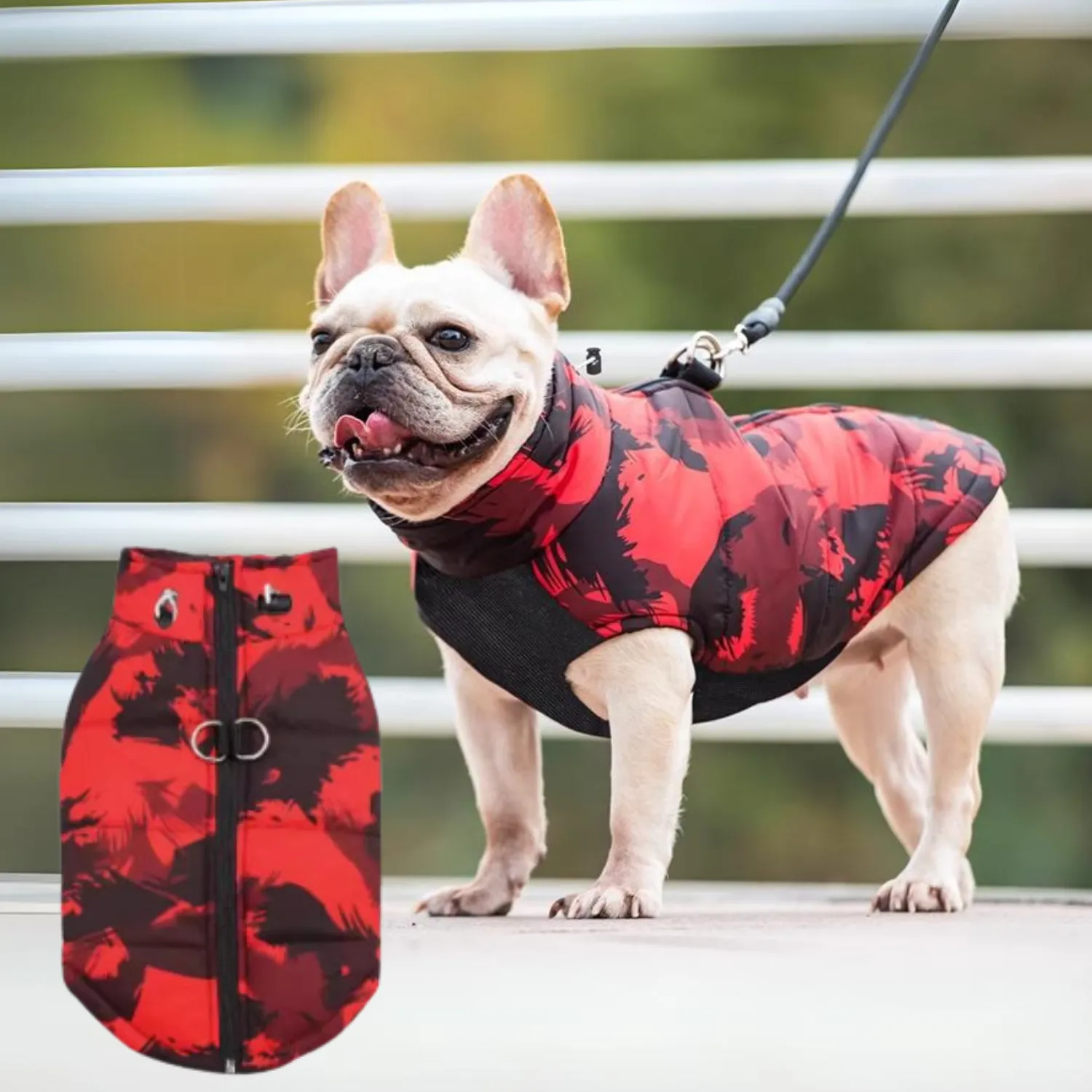 PupTrend Premium Frenchie Jacket