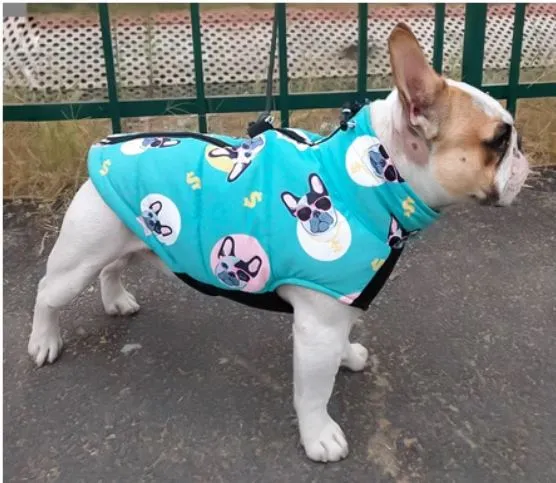 PupTrend Premium Frenchie Jacket