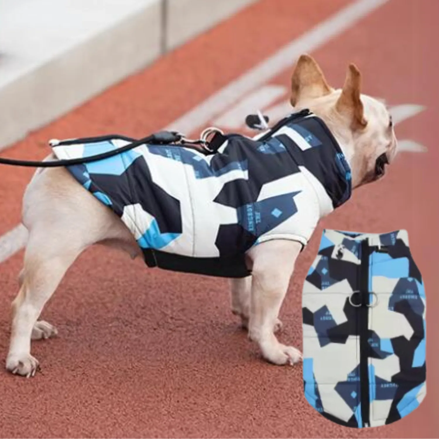 PupTrend Premium Frenchie Jacket