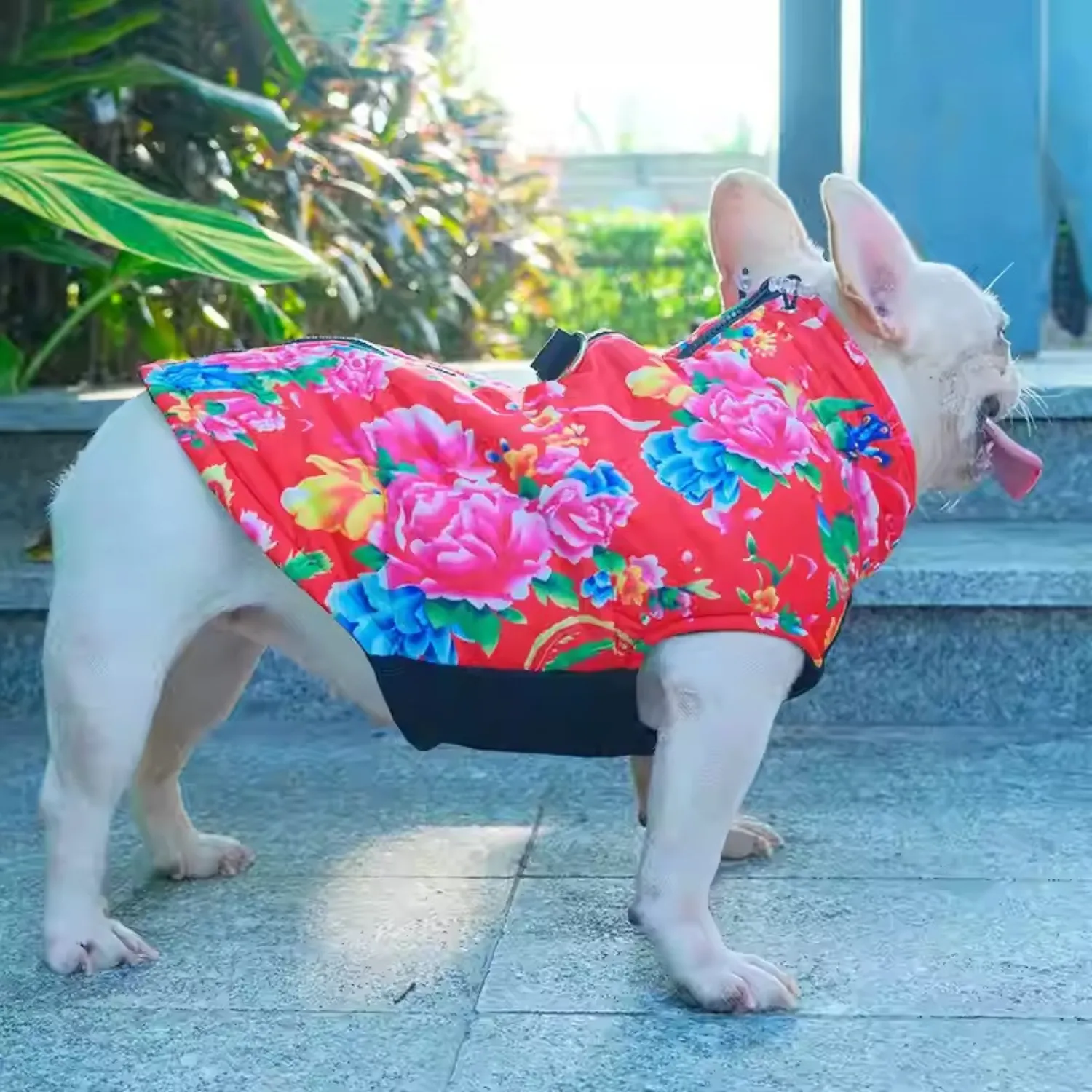 PupTrend Premium Frenchie Jacket