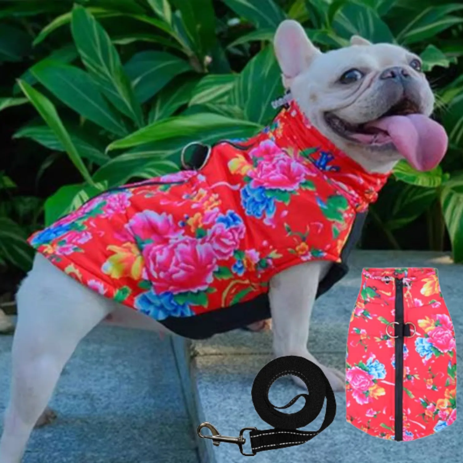 PupTrend Premium Frenchie Jacket