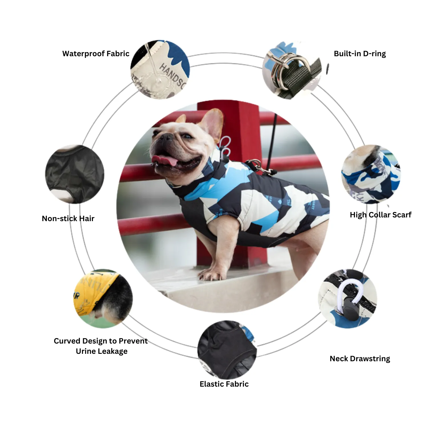 PupTrend Premium Frenchie Jacket