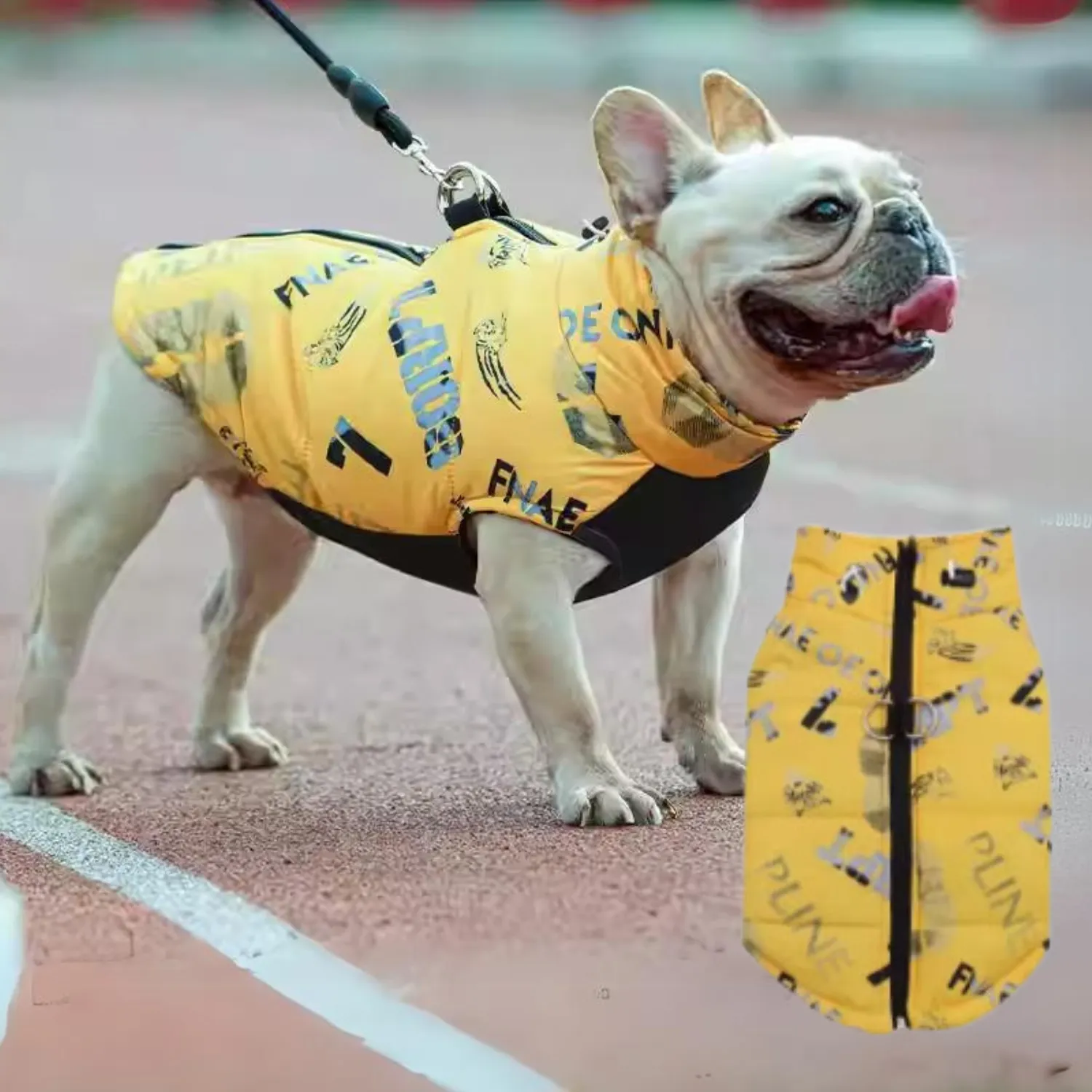 PupTrend Premium Frenchie Jacket
