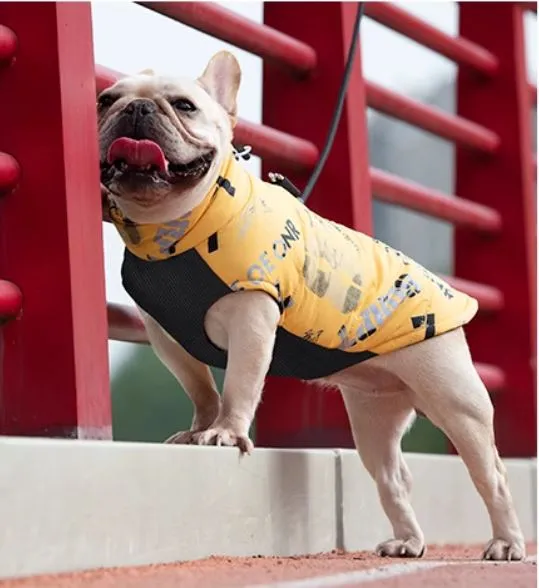 PupTrend Premium Frenchie Jacket