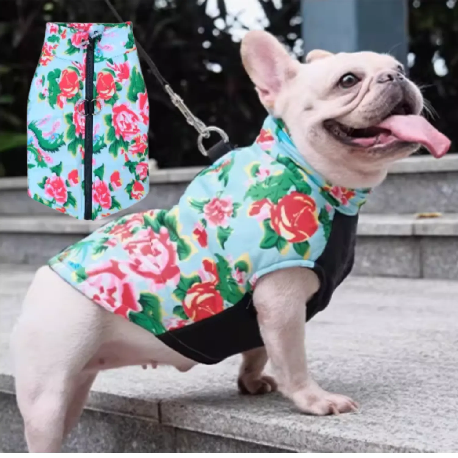 PupTrend Premium Frenchie Jacket