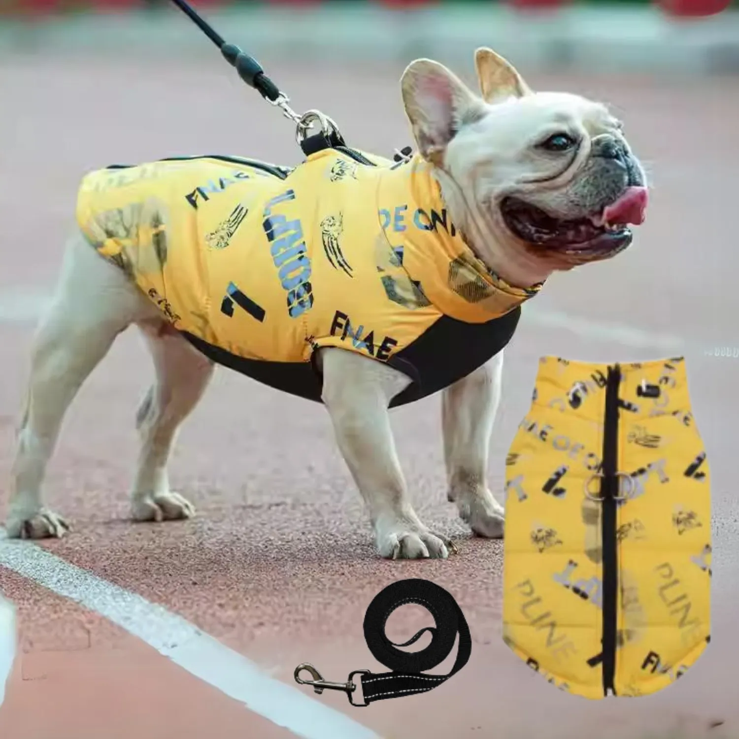 PupTrend Premium Frenchie Jacket