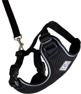 RC Pets Adventure Kitty Harness Includes Adjustable, Airmesh Fabric, 6' Leash and D-Ring Cat Walking Harness | Black, Large