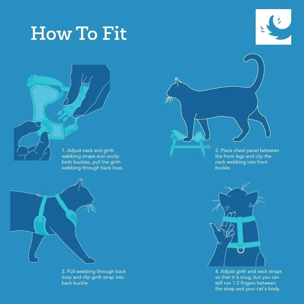 RC Pets Adventure Kitty Harness Includes Adjustable, Airmesh Fabric, 6' Leash and D-Ring Cat Walking Harness | Teal, Large