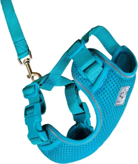 RC Pets Adventure Kitty Harness Includes Adjustable, Airmesh Fabric, 6' Leash and D-Ring Cat Walking Harness | Teal, Large