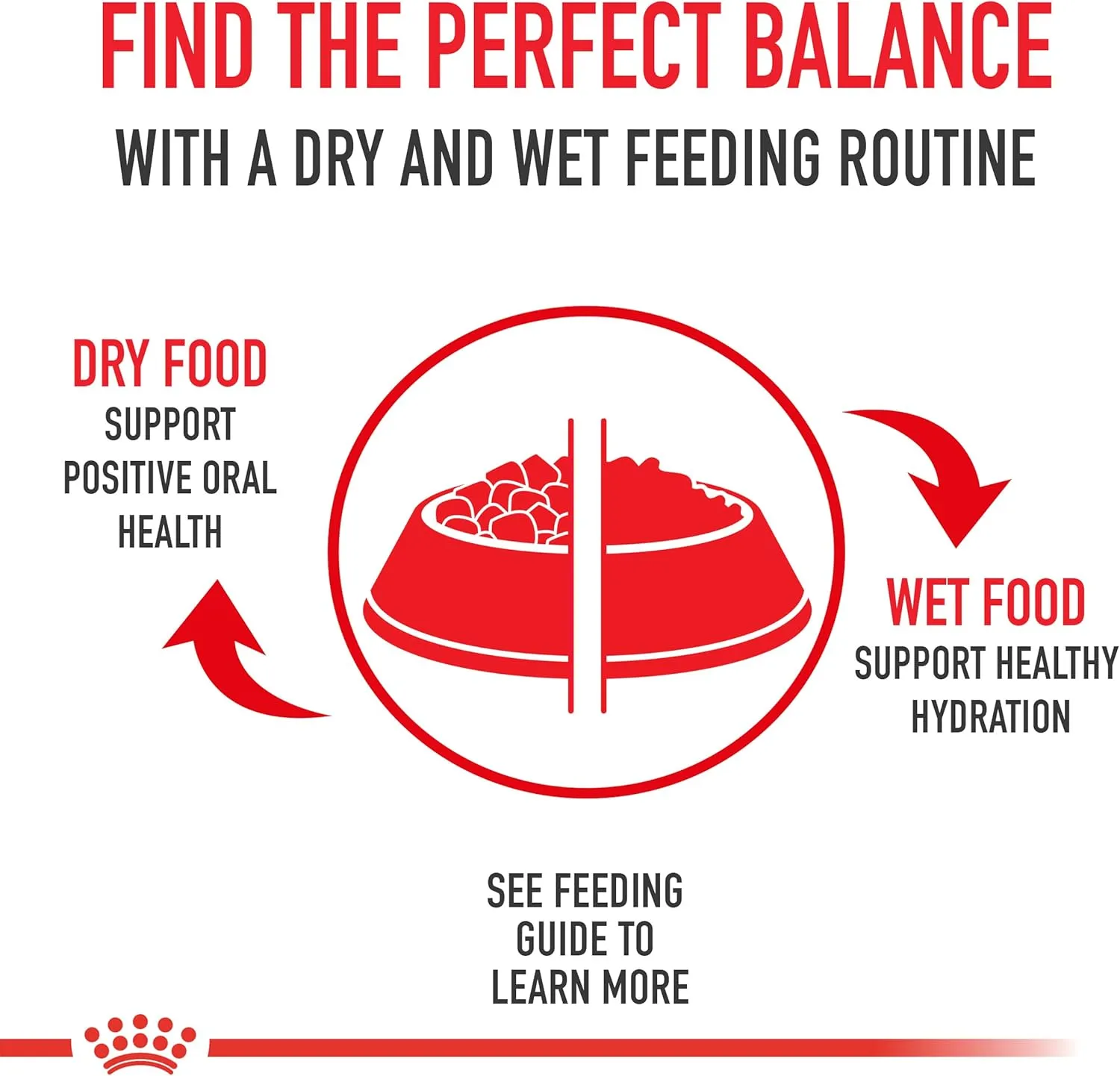 Royal Canin Chihuahua Adult Breed Specific Loaf in Sauce Dog Food, 3 oz can (6-Pack)