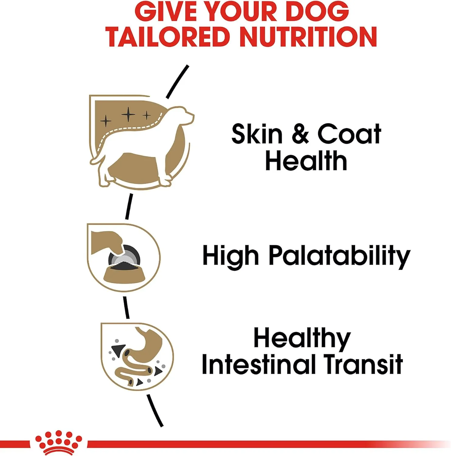 Royal Canin Chihuahua Adult Breed Specific Loaf in Sauce Dog Food, 3 oz can (6-Pack)