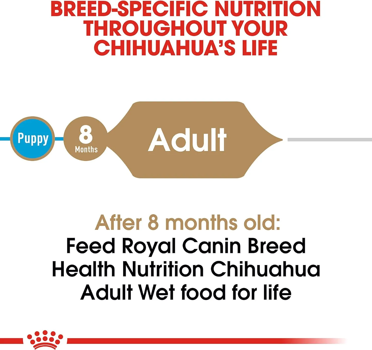 Royal Canin Chihuahua Adult Breed Specific Loaf in Sauce Dog Food, 3 oz can (6-Pack)