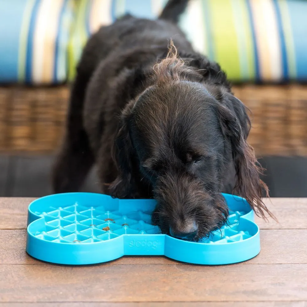 SloDog No Gulp Bone-Shaped Slow Food Plate for Cats & Dogs