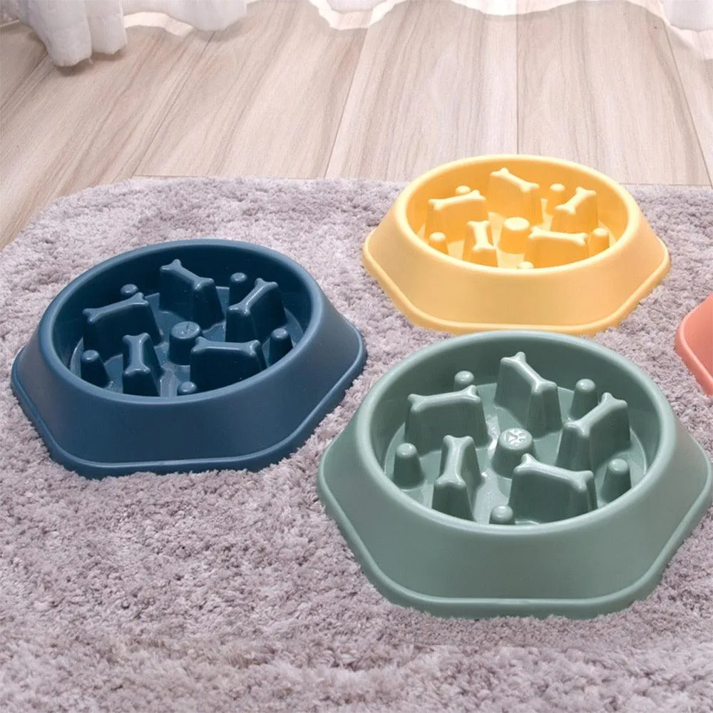 Slow Down Dog Bowl