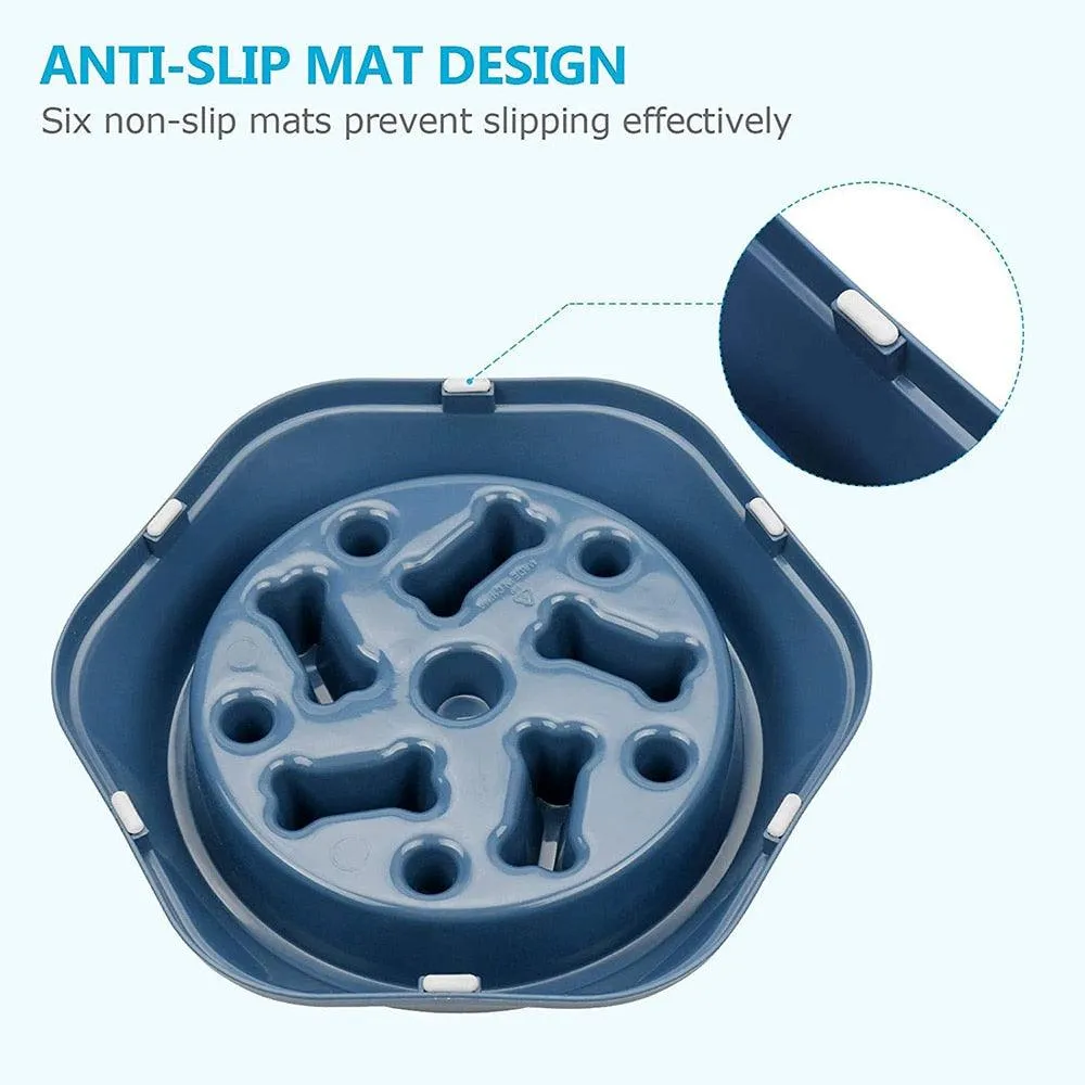 Slow Down Dog Bowl