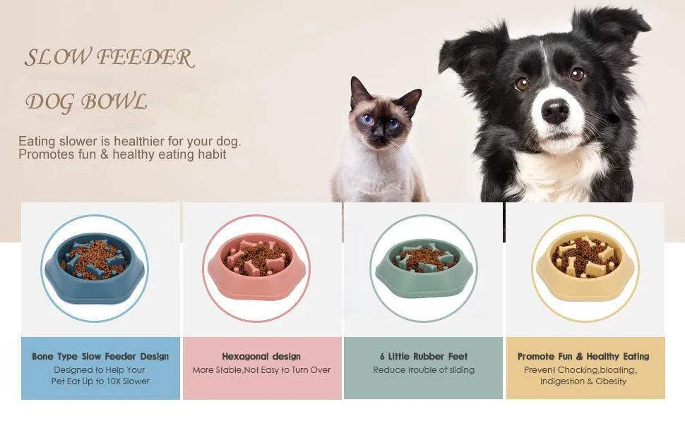 Slow Down Dog Bowl