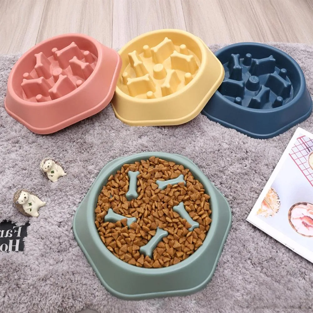 Slow Down Dog Bowl