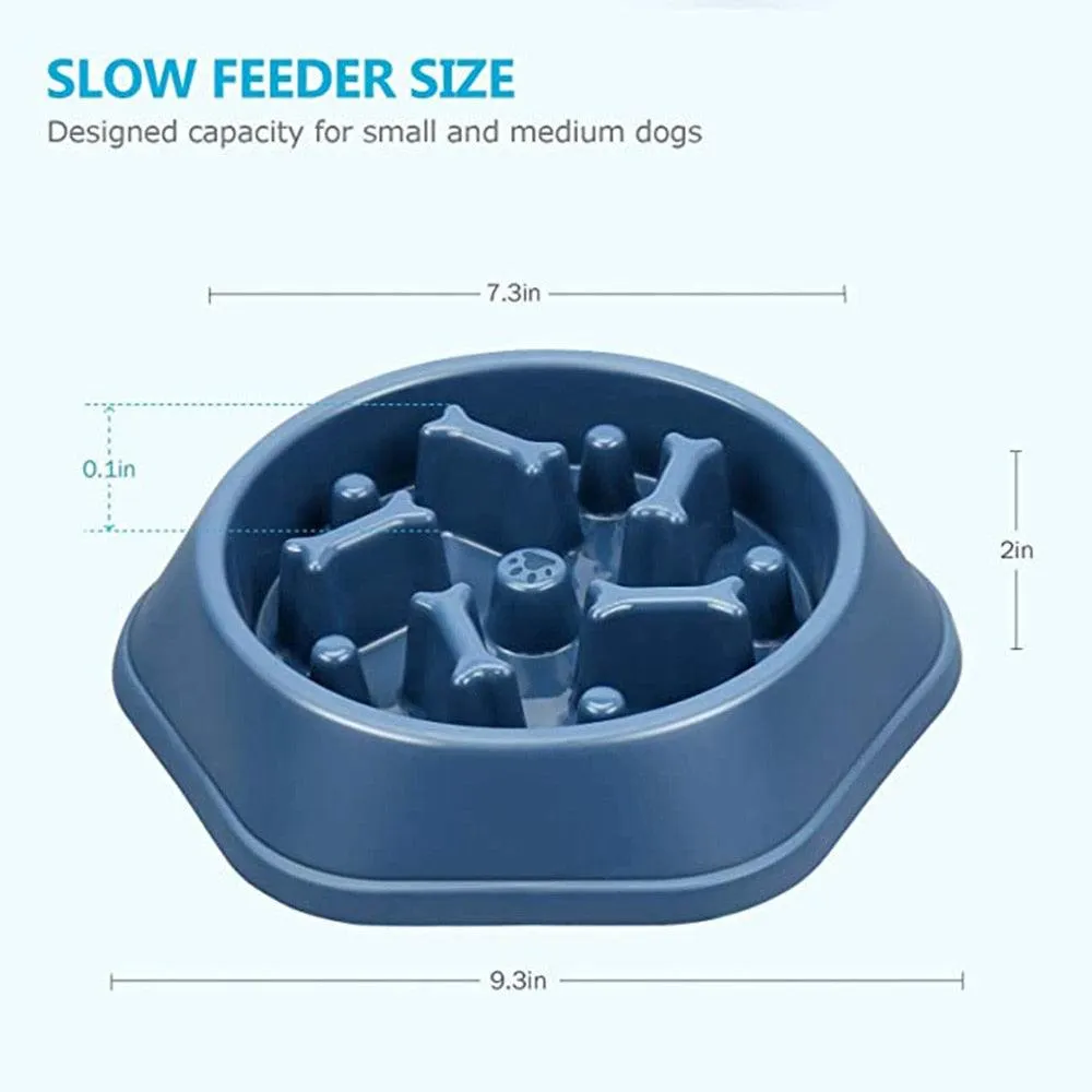 Slow Down Dog Bowl