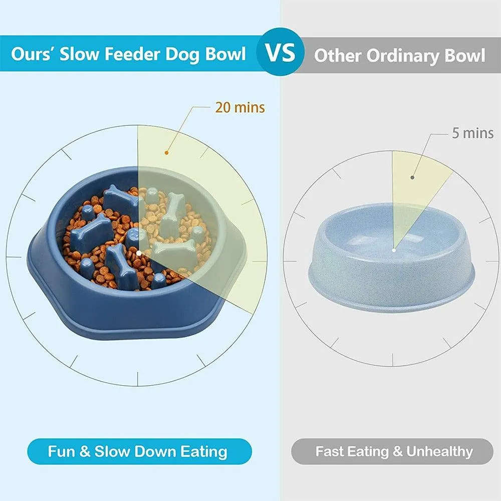 Slow Down Dog Bowl