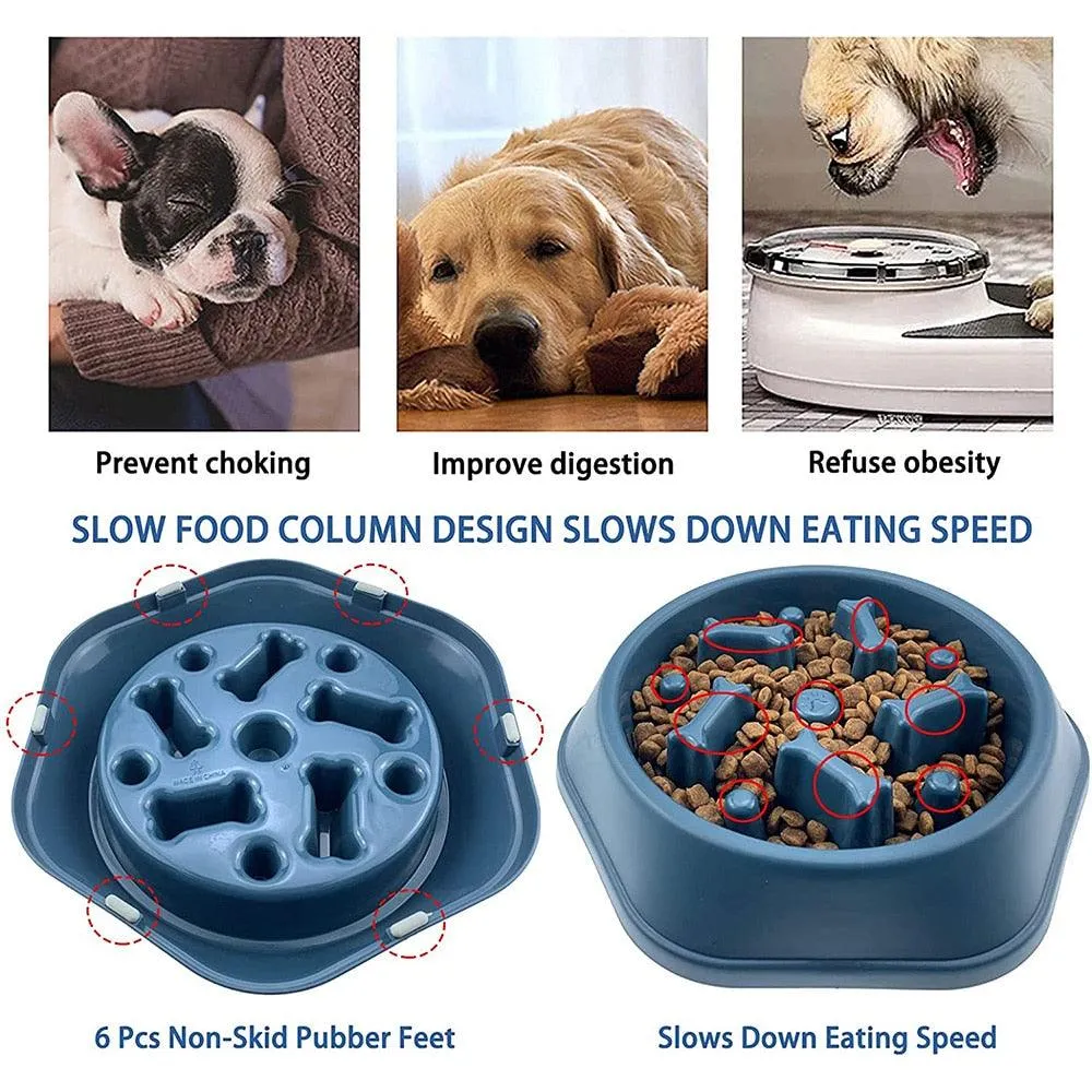 Slow Down Dog Bowl