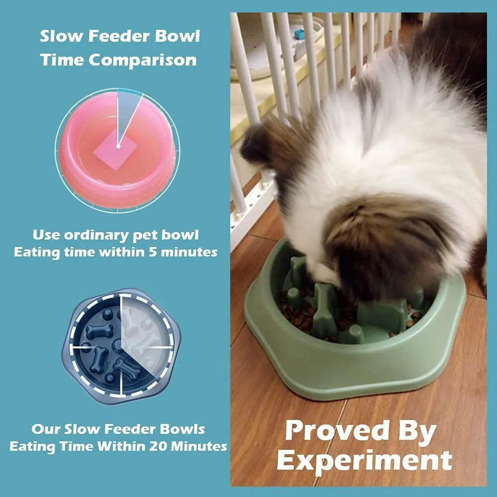 Slow Down Dog Bowl