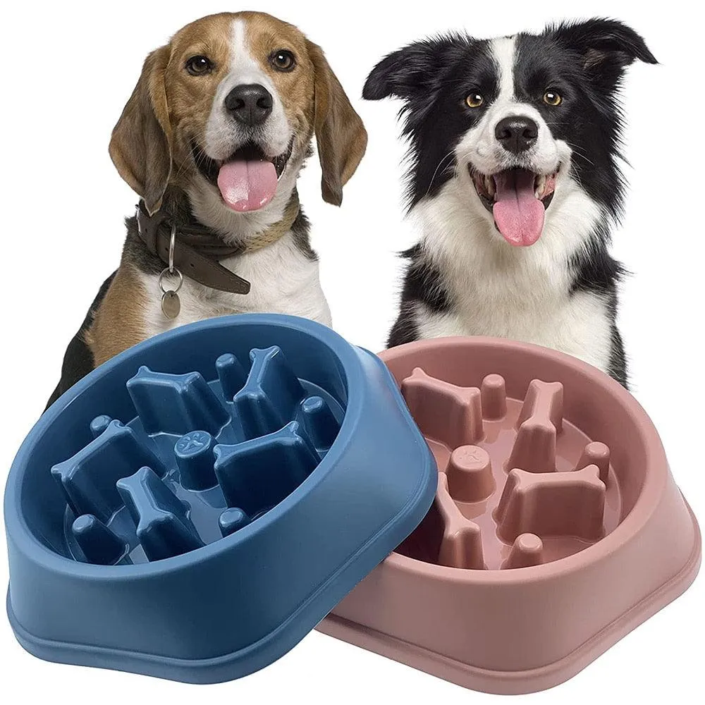 Slow Down Dog Bowl