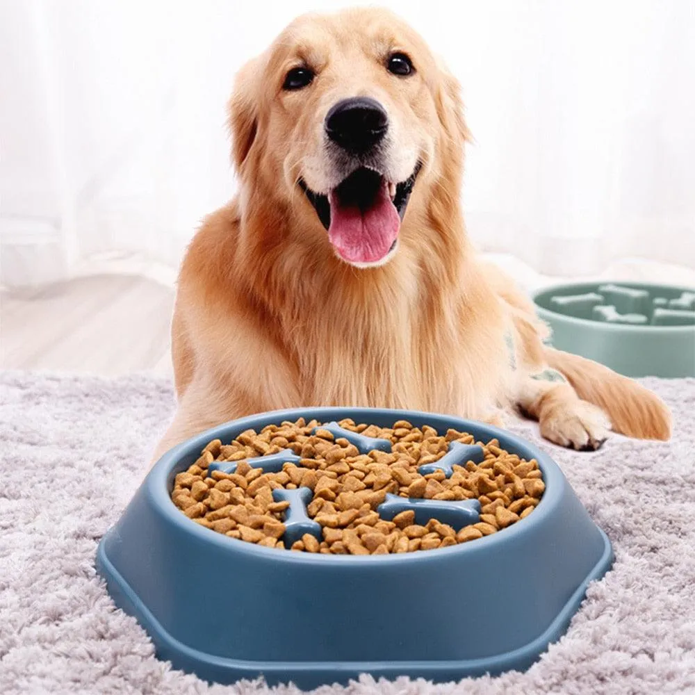 Slow Down Dog Bowl