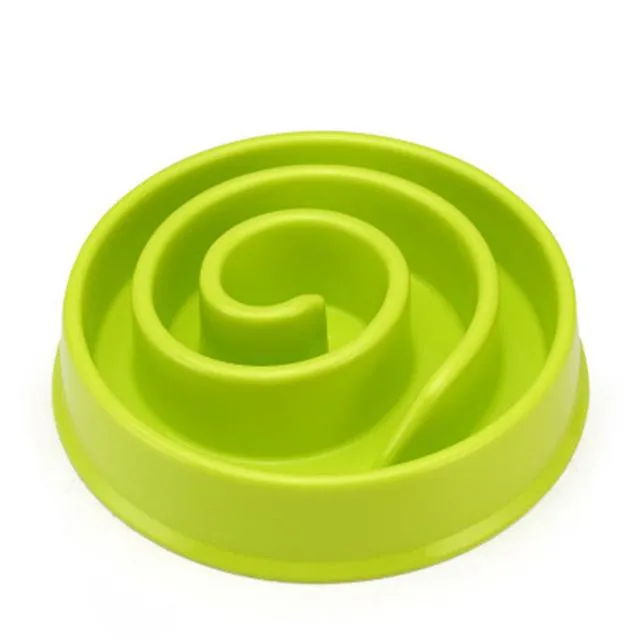 Slow Feeding Training Cat Bowl