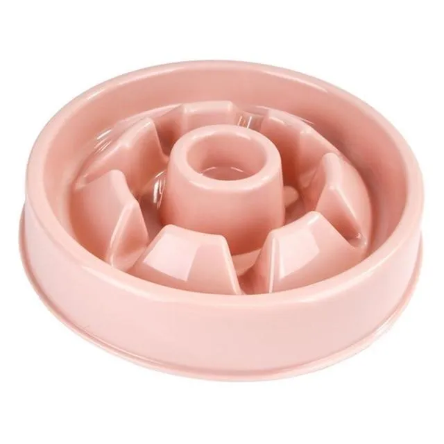 Slow Feeding Training Cat Bowl