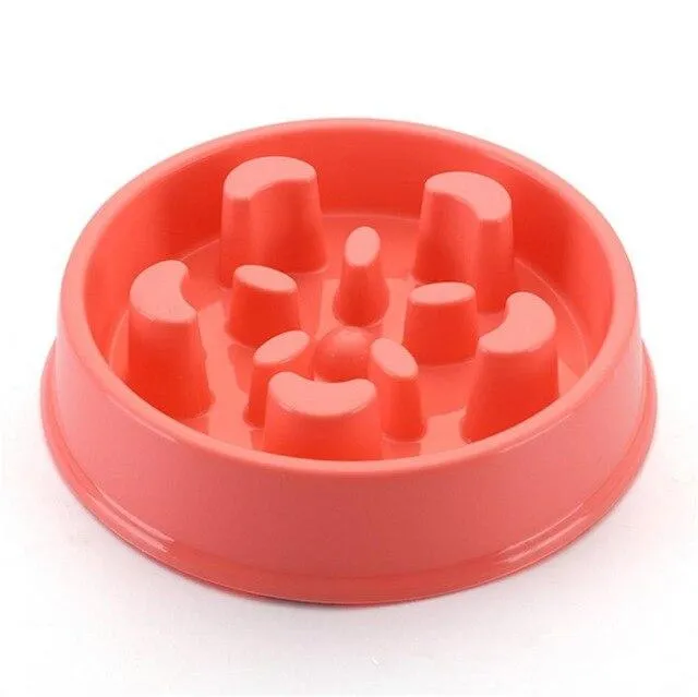 Slow Feeding Training Cat Bowl